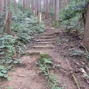 戸倉城山城址を見に城山に登りました