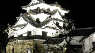 2020彦根城秋の紅葉ライトアップ