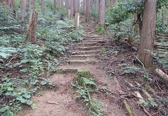 戸倉城山城址を見に城山に登りました