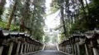 是非、奥の院まで