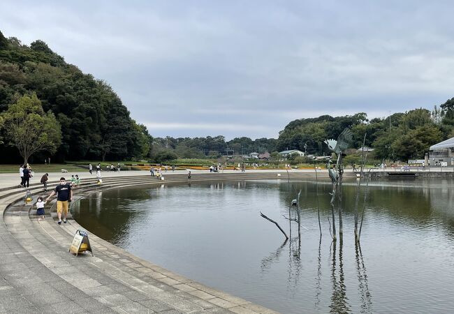 広大な公園