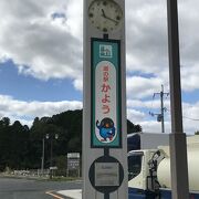 敷地内に小さな池があり、鯉が泳いでいました