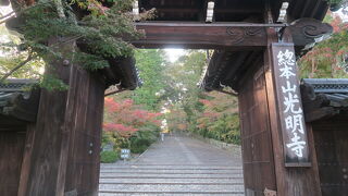 色づき始めた参道