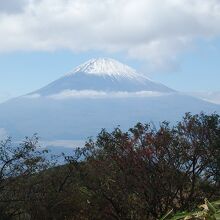 くっきりと富士山が見えます
