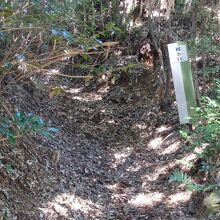 腰越城址囮虎口