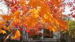 10月、専用のイートインスペースから紅葉の眺め