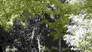 忍城・行田散策で忍東照宮に行きました