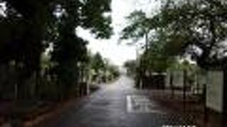 都内の中の霊園の一つです。