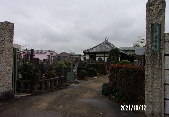 染井霊園に隣接する寺の一つです。