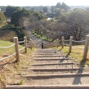 　忍城・行田散策で石田堤を歩きました