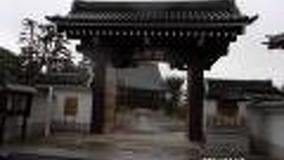 遠山金四郎の墓があります。