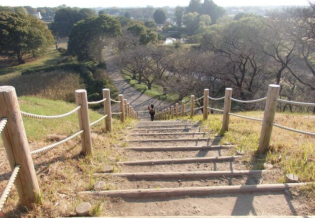 　忍城・行田散策で石田堤を歩きました