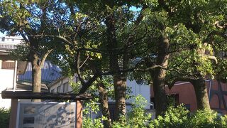 寺がなく看板のみ