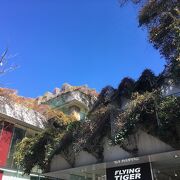 玉川高島屋s C別館 マロニエコート クチコミ アクセス 営業時間 二子玉川 フォートラベル 玉川高島屋s C別館 マロニエコート クチコミ アクセス 営業時間 二子玉川 フォートラベル