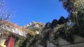 緑化された外壁