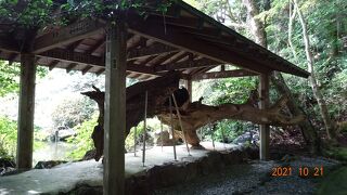 場所的にはあまり目立っていません。気を付けて探さないと見つからないかも知れません。