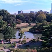 六義園…都心のオアシス