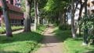 碁盤の目の街づくりのなかのよくあるアクセントな緑道