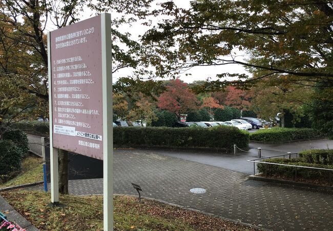 沼津駅から　バスで２０分程度。