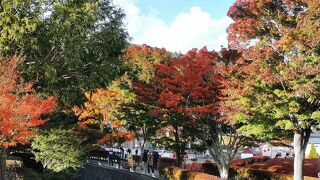 紅葉祭り初日