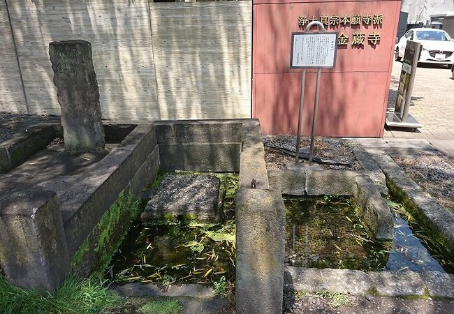 善福寺の参道沿いにあります