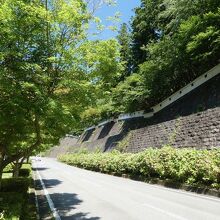 崖がお城の石垣のよう。