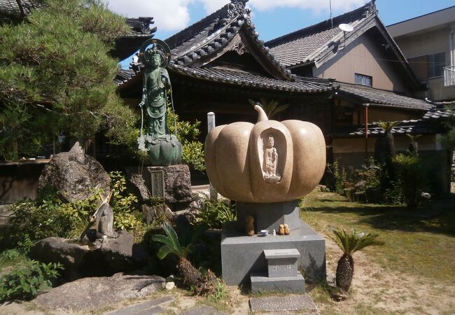 かぼちゃ伝来発祥の地と言われているお寺です