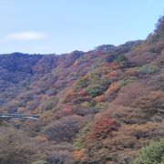 廃線跡ウォーキング