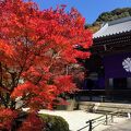 秋の京都でまったり紅葉鑑賞