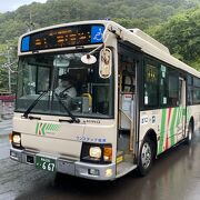 津軽地域のバスはほぼこれ