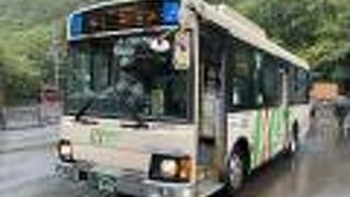 津軽地域のバスはほぼこれ