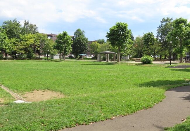 子どもたちの遊び場として必要な緑豊かな公園