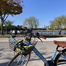 レンタサイクル@大濠公園