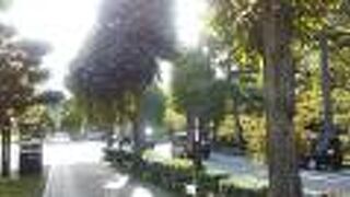 食事後のウォーキングで何度歩いた通りです。