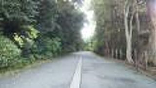 立ち入り禁止！？