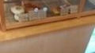 ジカンリョコウ