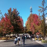 休館している横浜美術館前　美術の広場からグランモール公園