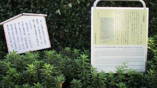 大きな堀がありました