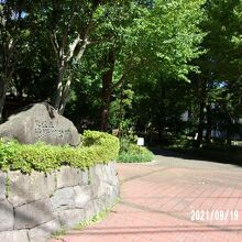 公園の様子です。