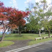 津軽海峡に紅葉が最高でぇーす