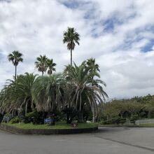 海洋公園のバス停＆駐車場で