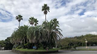 ダイビングのメッカ