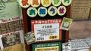 今週のおすすめ品　ざる豆腐　