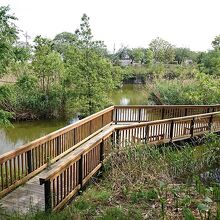 水元かわせみの里