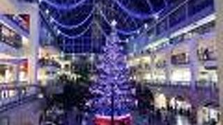 冬になると道民はここにデートに来ます