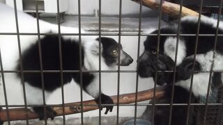 草津温泉に行ったらここ！