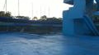 青年公園遊泳池