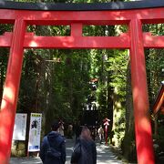 第四鳥居から見る参道の石段が、見ごたえが有りますが、ちょっと後ろを振り向くと「矢立のスギ」があります