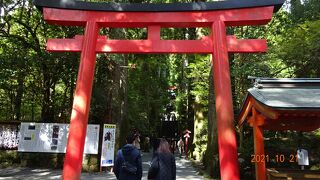 第四鳥居から見る参道の石段が、見ごたえが有りますが、ちょっと後ろを振り向くと「矢立のスギ」があります