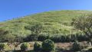 大室山のふもとを散策